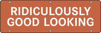 Lowen Sign product